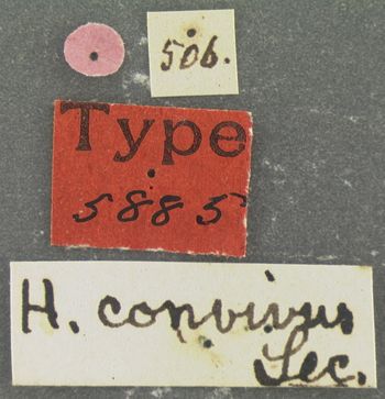Media type: image;   Entomology 5885 Aspect: labels